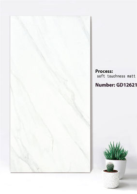 Beli 600x1200mm Firebrick Curtain Wall Tiles dalam Jazz Putih Deep Gray pembuatan online