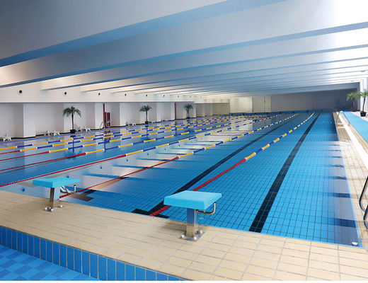 Beli S003 Lane 24kg / Karton Keramik Decking Tiles Kolam Renang, 115x240mm Glazed Edge Tile pembuatan online