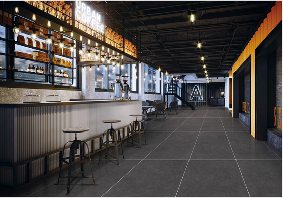 Deep Gray 48x24 Starry Glaze Porcelain Tile Lantai Antibakteri