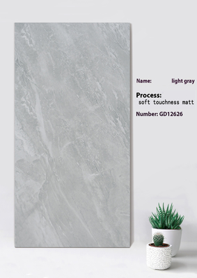 Antibakteri Cahaya Abu-abu Lembut Ketegangan Matt Tile Untuk Mal Perbelanjaan 600x1200mm
