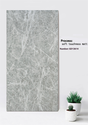 Cahaya abu-abu Marmer Tampilan Resistant Goresan 600x1200mm Lembut Sensitivitas Matt Exterior Curtain Wall Tile Untuk Taman