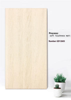 Anti-slip Soft Touchness Matt Background Curtain Wall Tile 600x1200mm Untuk Taman