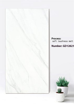 Putih Dan Abu-abu Fireebrick Soft Sensitivity Matt Dekoratif Curtain Wall Tile Untuk Pembangunan Kembali 600x1200mm