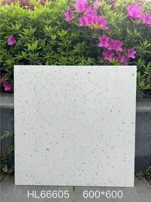 Menakjubkan dan Bergaya Beige 600x600mm Lantai Indoor Terrazzo Keramik Peti Untuk Ruang Makan