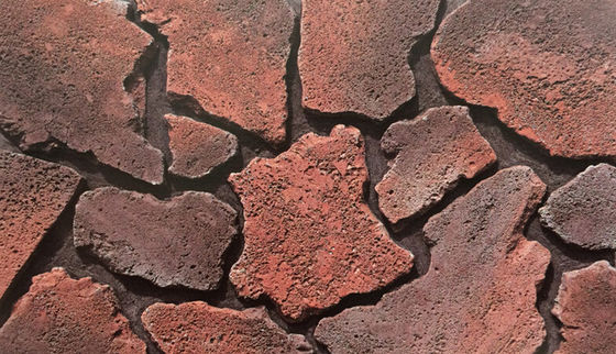 Brick batu yang dikulturasi dengan semen merah kelas AAA untuk dekorasi dinding